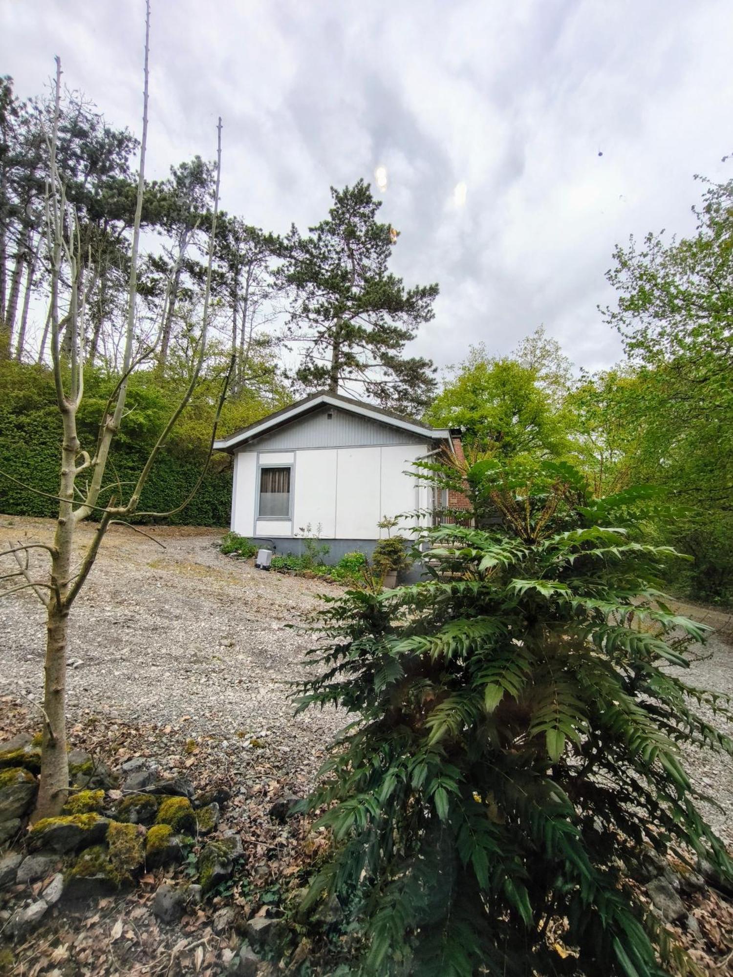 Au Bois Charmant Waulsort Cameră foto